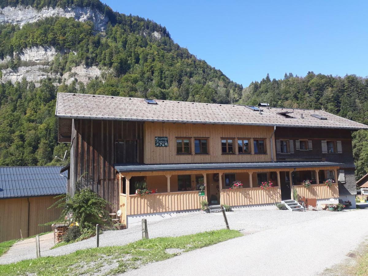 Bauernhof Farnach Apartment Andelsbuch Exterior foto